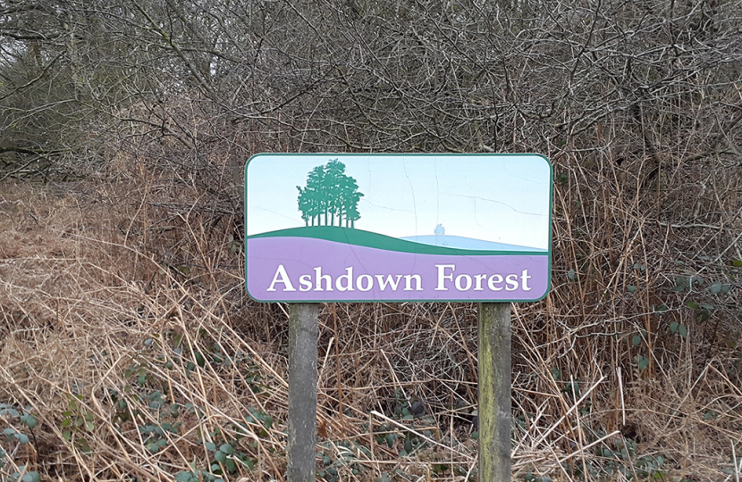 forest sign