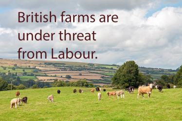 Help us Save British Farming as Labour seem intent on destroying it - sign our petition